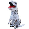 Inflatable Dinosaur Adult Costume