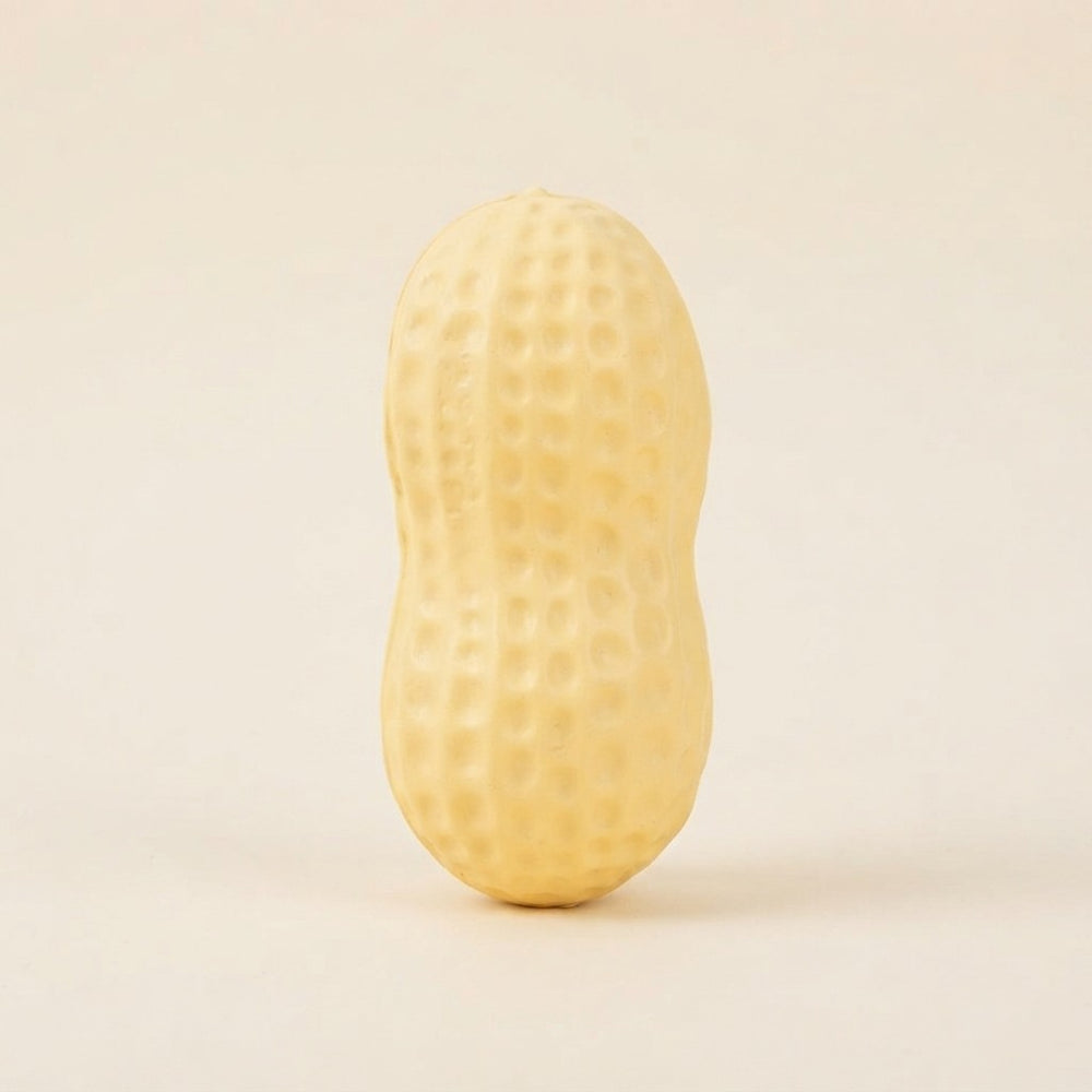 Peanut Slow Rebound Squishy Toy